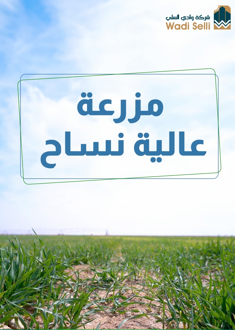 عالية نساح