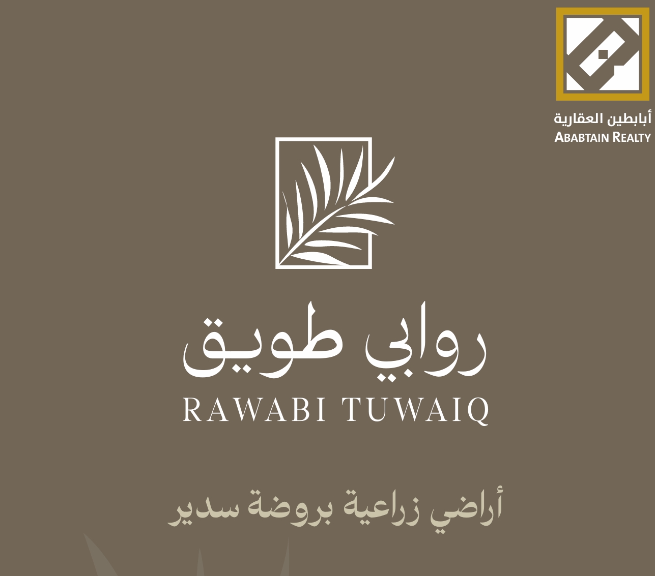 روابي طويق